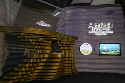 博物馆之旅 | 带孩子到澄江 探索5亿年前的生命密码