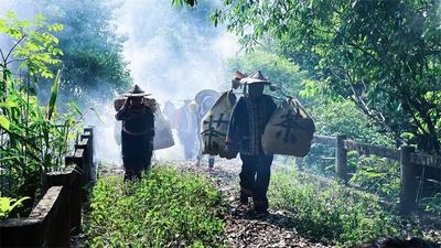 “走村串寨”游普洱 | 景谷乡村游走起！