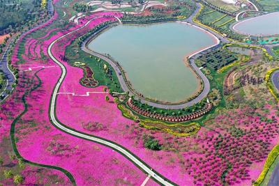 夏天至，来弥勒游两日！