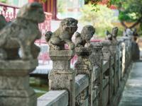 图集 | 昆明文庙泮池——石柱上的狮雕