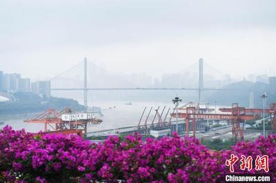 重庆两江新区打造全球内河邮轮大港 邀投资家企业家共享机遇