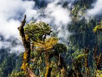 独龙江边绿水青山——普卡旺村