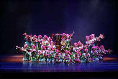 普洱市召开第四届群众文化“茶花奖”展演暨第八届农民工文化节动员部署会