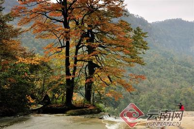 早安云南 | 云岭高原上的绿宝石，乌蒙山上的绝美之境