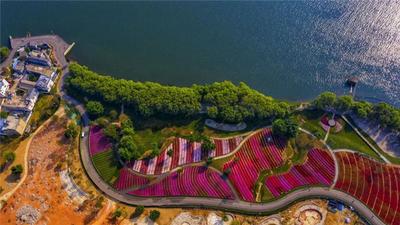 【有一种生活叫大理】想和你 相见在这个美好的夏天