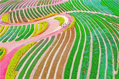 昆明品质游推荐 | 抚仙湖一日游 带你探寻初夏的“高原明珠”