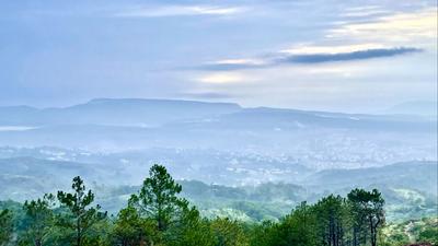永仁县：城市后花园 青山映红妆