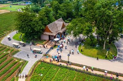 保山市“五一”假期接待游客55.19万人次