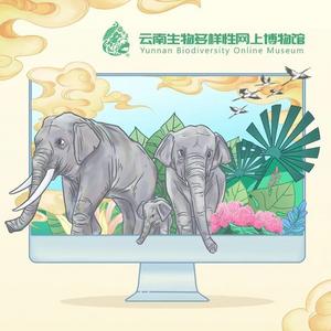 “云南生物多样性”网上博物馆正式上线