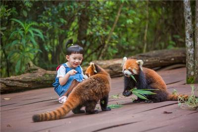 中国旅游日·“惠”玩在普洱丨普洱发布“银旅携手 惠游普洱”信用卡优惠活动