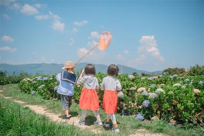 【六一·端午游大理】儿童节带娃怎么玩？科普、市集、挖土豆……