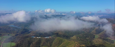 楚雄姚安：雨后云海美景如画