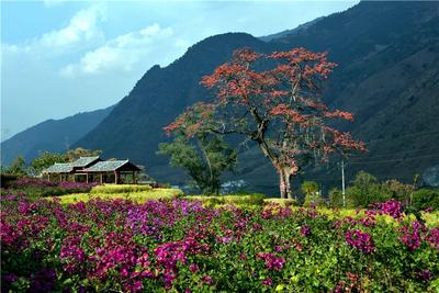 百花岭傈僳族音乐小镇，唱响天籁之音