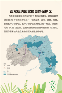 促进民族团结进步系列活动丨与象同行——野生亚洲象与它的“象往”之旅在玉溪市博物馆开展