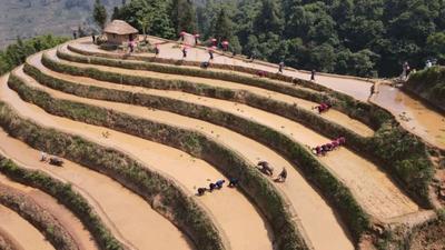 红河元阳：践行“两山”理论，书写绿水青山新画卷