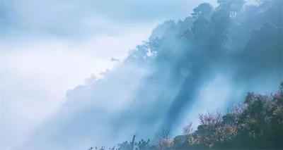 普洱精品茶旅线路推荐丨带你玩转北回归线上的小众茶山！