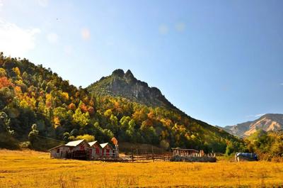 【一月一县市·剑川】徒步老君山，赏杜鹃花海