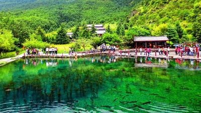 云游丽江丨跟随金牌导游龚薇薇 探秘玉水寨 深度了解东巴文化