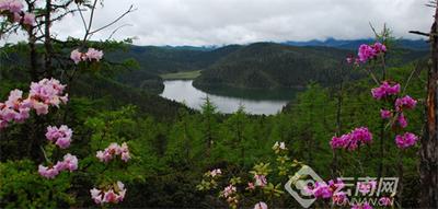 露营、徒步、登山、探险……来普达措呼吸一口“最纯净”的空气