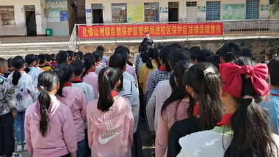 楚雄牟定：全力守护群众“舌尖”上的安全            