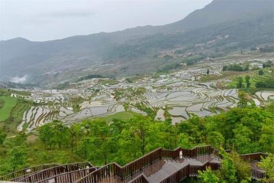 自此，爱上了雨天的红河