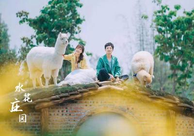 【中国最佳爱情表白地】嘘！今天，大理有悄悄话想要对你说