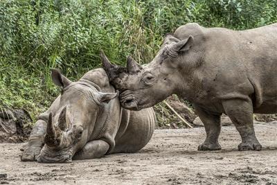 普洱“六一”亲子游推荐丨今年你想好怎样遛娃了吗？