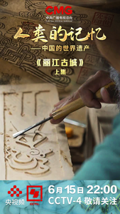 去了那么多次丽江古城你真的了解它吗？一部纪录片读懂丽江  