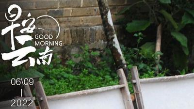 早安云南｜中国古代造纸术的“活化石”，指尖传承千秋匠心技艺