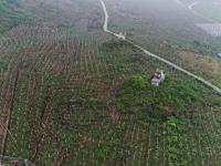 图集 | 西畴县国家石漠公园