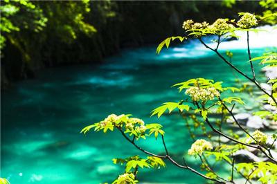 夏至怒江 “暑”你会玩