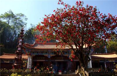 讲好临沧文旅故事 | 如何做好文物保护工作？临沧“十四五”时期将这样做