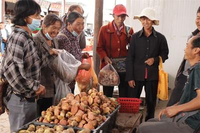 遇见六月  遇见野菌飘香的楚雄南华