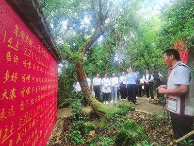 弥勒市文化和旅游局开展“传承红色基因 赓续红色血脉”庆“七一”活动