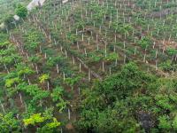 图集 | 西畴县国家石漠公园