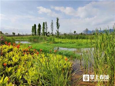 好消息 | 昆明这两个湿地年内开放！