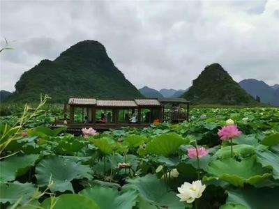 免费！带上准考证来云南旅行，这些景区有优惠（一）