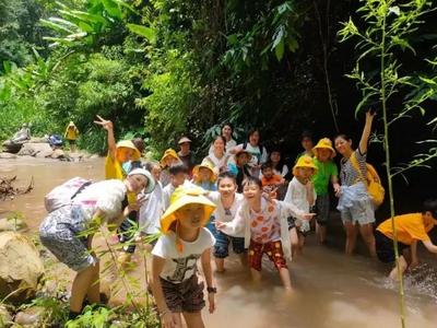 游云南 正当时 | 西双版纳端午假日市场平稳有序  丰富产品供给助游客乐享“象”往的地方