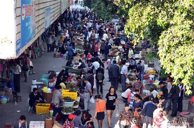 早安云南 | 百草入席杯盏飘香，品味属于端午的文化记忆