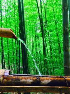 昆明品质游推荐丨玉溪峨山、元江二日游，带您远离喧嚣，沉醉于自然天地