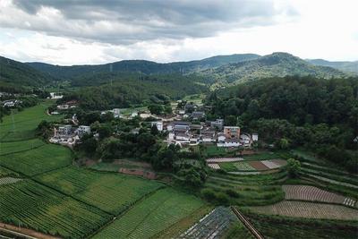 禄劝举办花山节：凝聚团结奋斗合力 推动乡村振兴