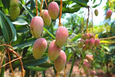 游云南 正当时 | 提振行业信心 激活文旅市场 秀美玉溪这样干！