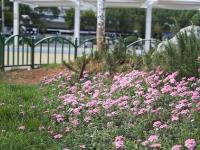 图集 | 昆明桃源广场