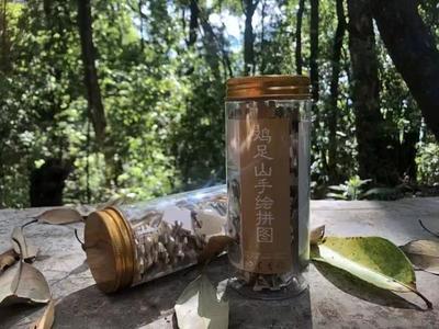 【一月一县市·宾川】直播预告！揭开鸡足山神秘面纱