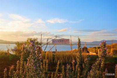 游云南 正当时丨玉溪晶喜庄园：抚仙湖畔的诗意田园