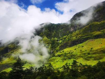 高海拔生态游 | 一山有四季十里不同天  说的就是轿子山！
