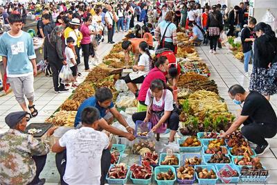 早安云南 | 百草入席杯盏飘香，品味属于端午的文化记忆