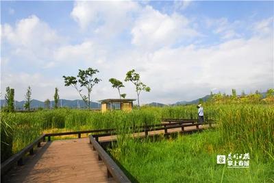 好消息 | 昆明这两个湿地年内开放！