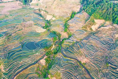 自由自在玩转红河 遇见世界文化遗产哈尼梯田“盛世美颜”