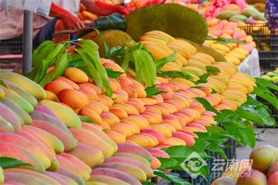 早安云南│元江金芒果，邀你畅享“滨江花果城”